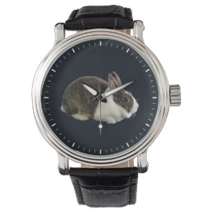 Montre Lapin néerlandais Brown et blanc