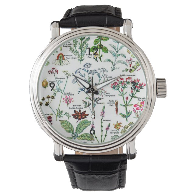 Montre Larousse Digestif Plante Nature Garden Art (devant)
