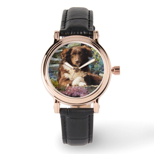 Montre L'art berger australien (Recto)