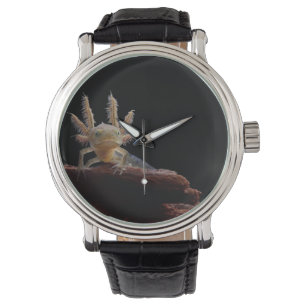 Montre Larve crêté de triton
