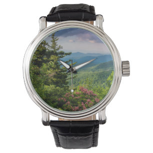 Montre Laurier de montagne au lever du soleil