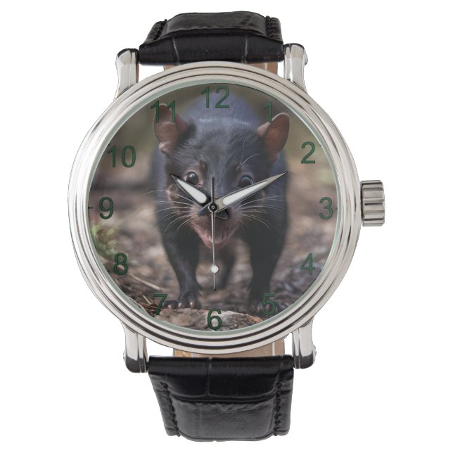 Montre Le jeune Diable de Tasmanie, (devant)