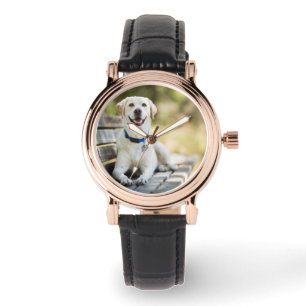 Montre Le Labrador Jaune Est Sur Le Banc