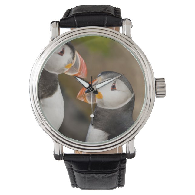 Montre Le Macareux Atlantique (devant)