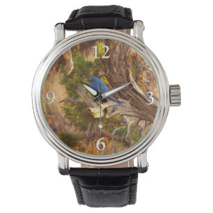 Montre Le merle bleu des montagnes du parc national Arche