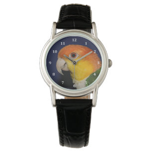 Montre Le perroquet caïque coloré