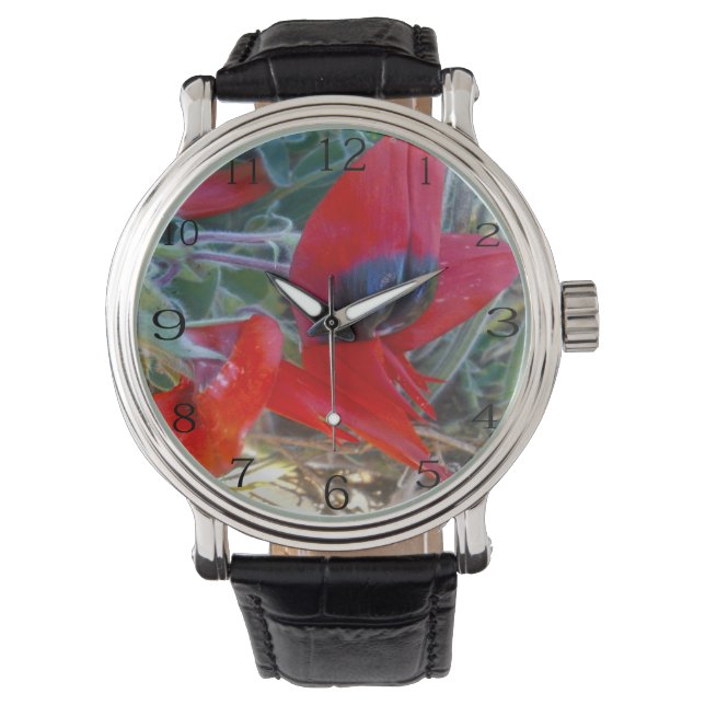Montre Le pois du désert australien Sturts, (devant)