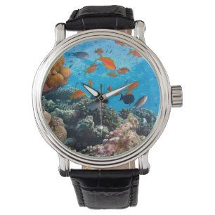 Montre Le poisson sous-marin et le corail