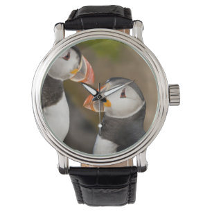 Montre Le Puffin Atlantique