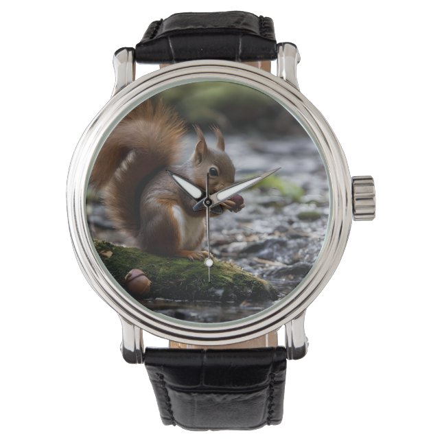Montre L'Écureuil Au Bord De La Rivière Mangeant Un Maïs, (devant)