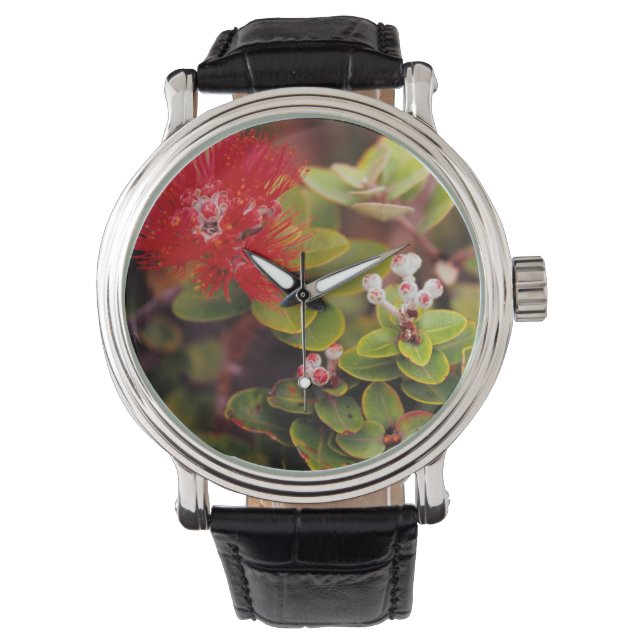 Montre Lehua fleurit dans les volcans d'Hawaï (devant)