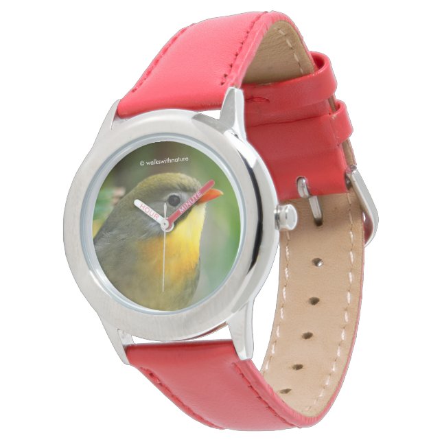 Montre Leiothrix coloré Pekin Robin Songbird (Incliné)