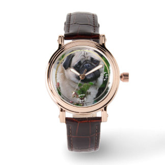 Montre Les amateurs de carlins
