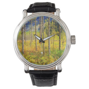 Montre Les arbres d'Aspen à l'automne dans les Rocheuses