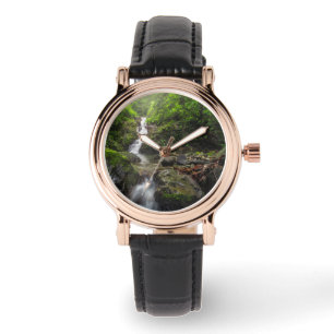 Montre Les cascades   Parc national du Mont Phayao