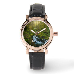 Montre Les cascades   Parc National Olympique, Washington