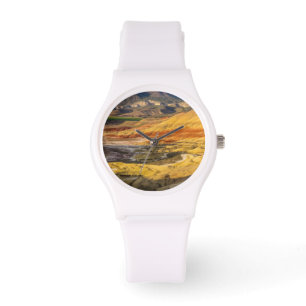 Montre Les collines peintes dans les lits de fossiles de