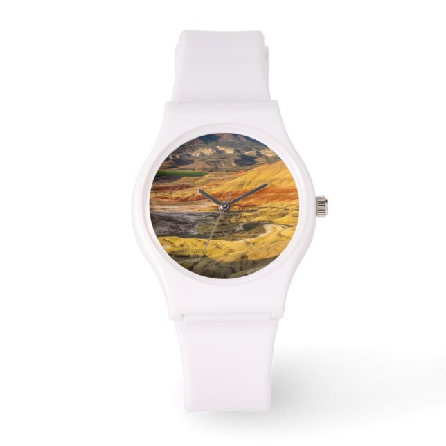 Montre Les Collines Peintes Dans Les Lits Fossiles Du Jou (Recto)