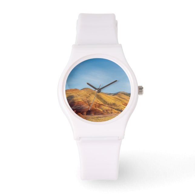 Montre Les Collines Peintes Dans Les Lits Fossiles Du Jou (Recto)