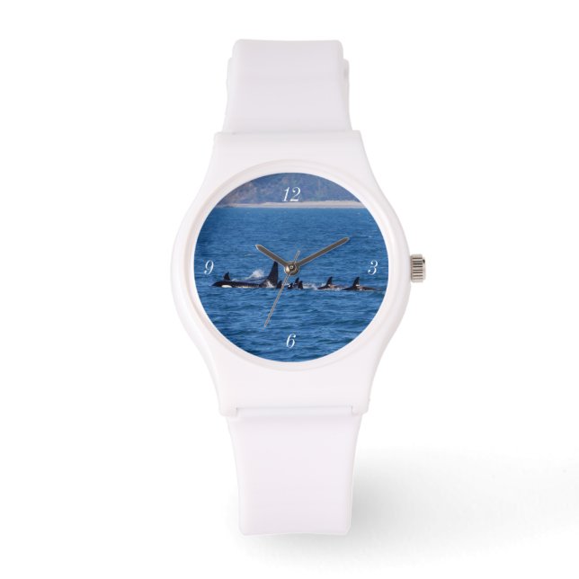 Montre Les familles s'assoient (Recto)