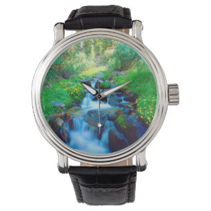 Montre Les prairies du ciel dans les montagnes de la Sier