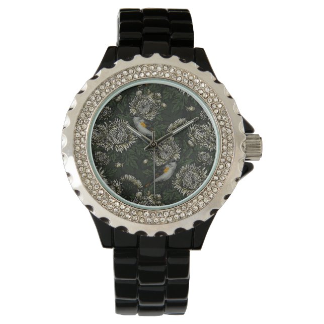 Montre Les redémarrages dans les chrysanthèmes en vert et (devant)