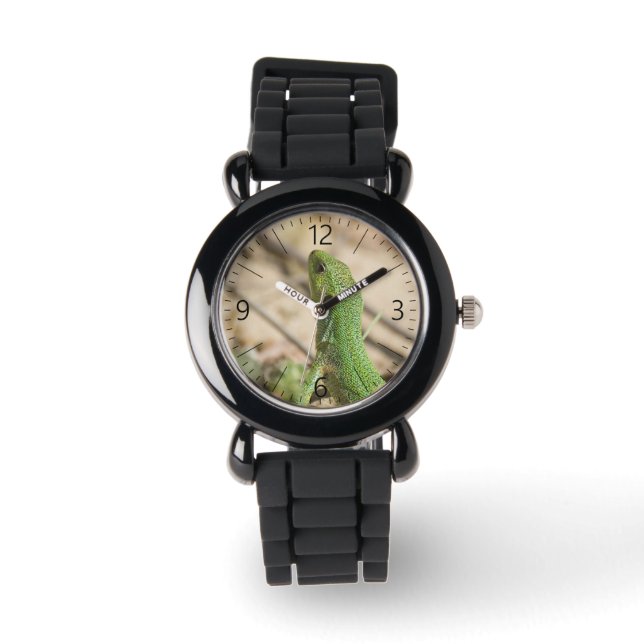 Montre Lézard vert (Recto)