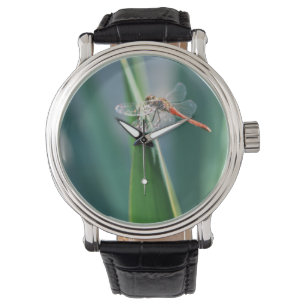 Montre libellule