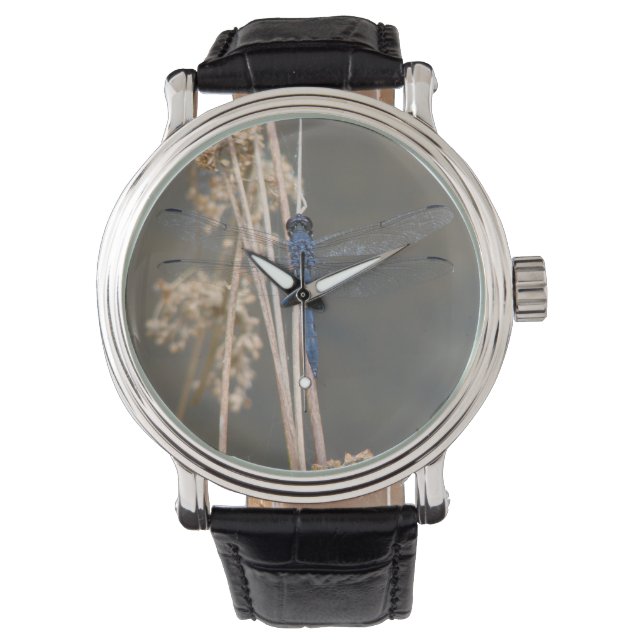 Montre libellule bleue (devant)