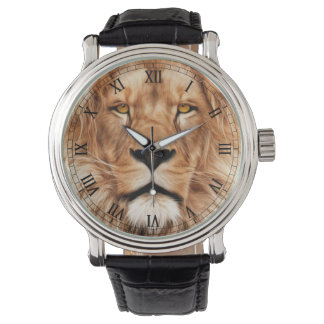 Montre Lion Le Roi Photo Peinture