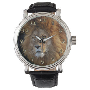 Montre Lion prédateur sauvage avec Mane