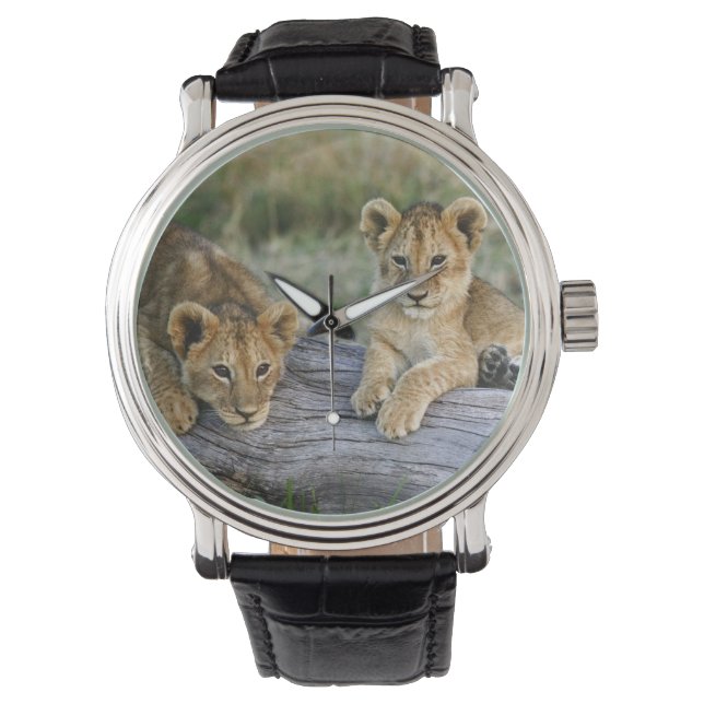 Montre Lionceaux sur rondin (devant)