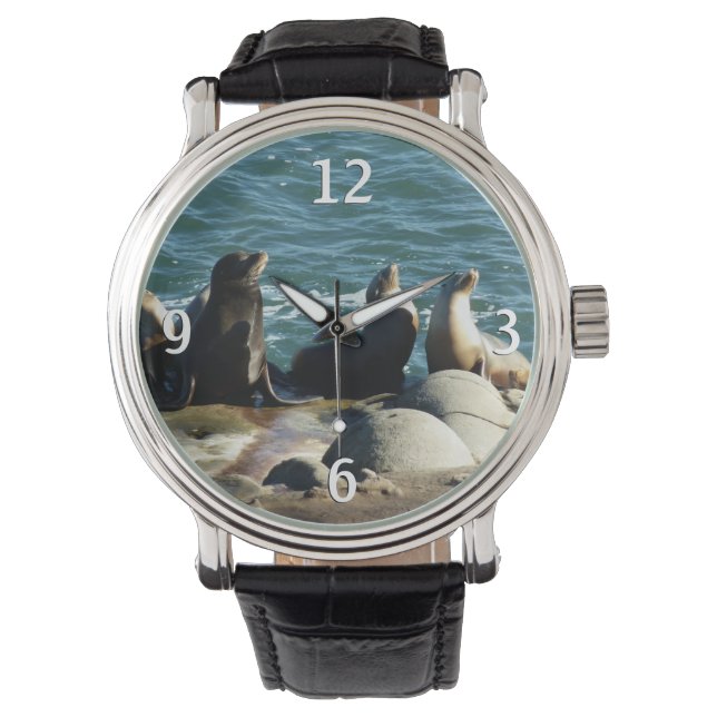 Montre Lions de la mer de San Diego (devant)