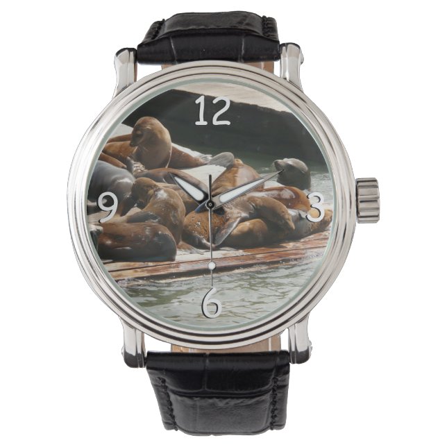 Montre Lions de mer au soleil à San Francisco (devant)