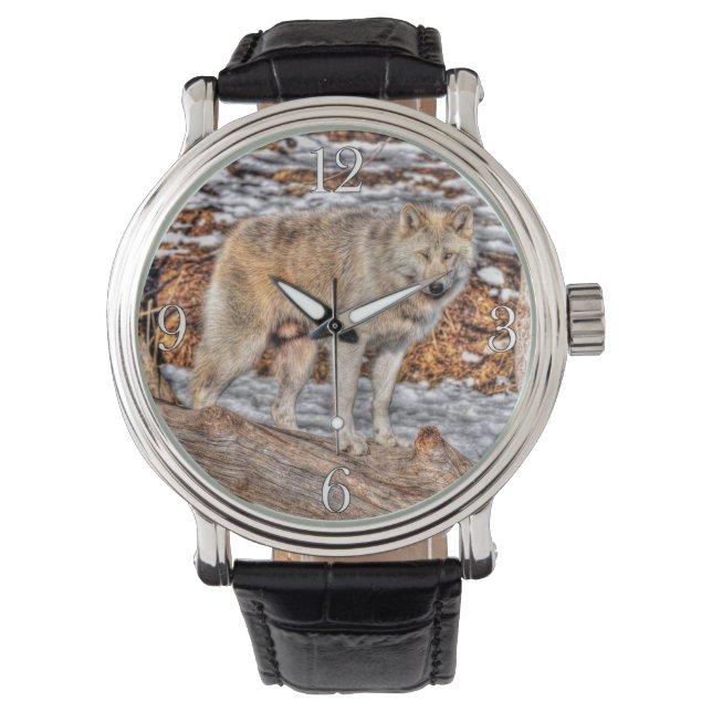 Montre Loup blanc, nature et faune (devant)