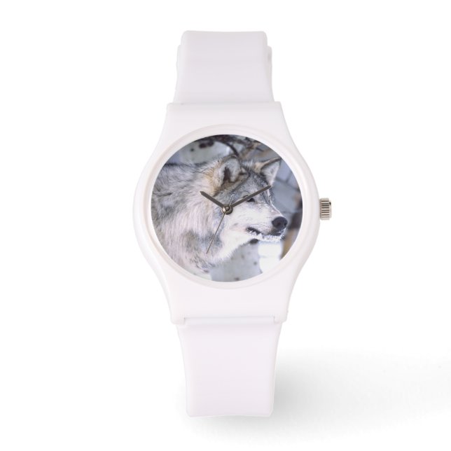 Montre Loup de bois, Canis lupus, Animal de cinéma Utah) (Recto)