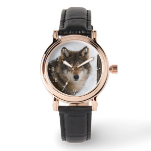 Montre Loup gris européen
