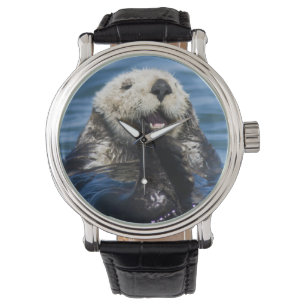 Montre Loutre de mer de Californie Enhydra lutris) se toi