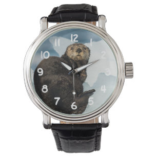Montre Loutre de mer de repos