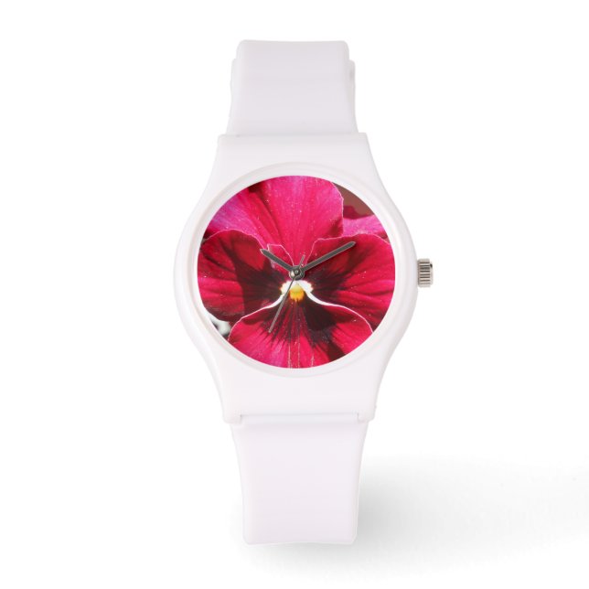 Montre Lucrezia (Recto)