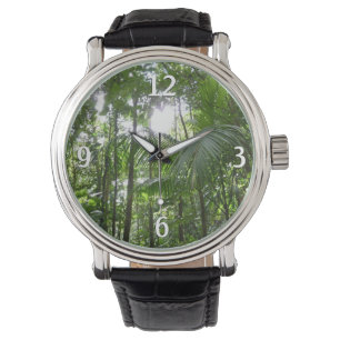 Montre Lumière du soleil à travers la canopée de la forêt