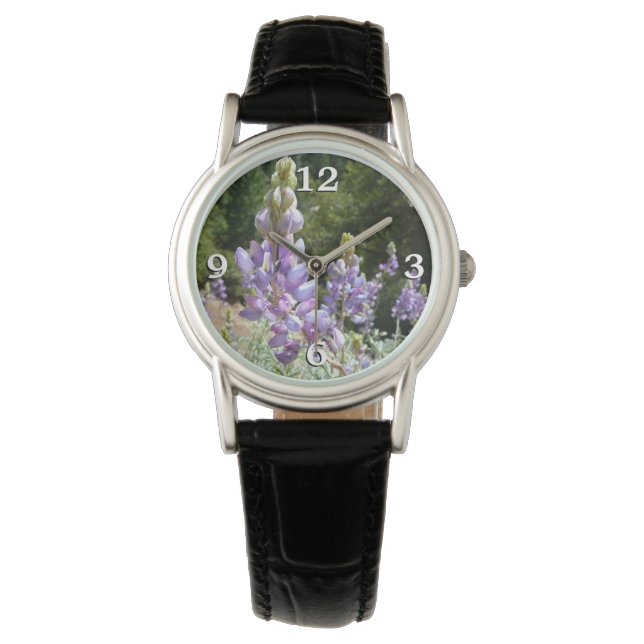 Montre Lupins de montagne à Yosemite (devant)