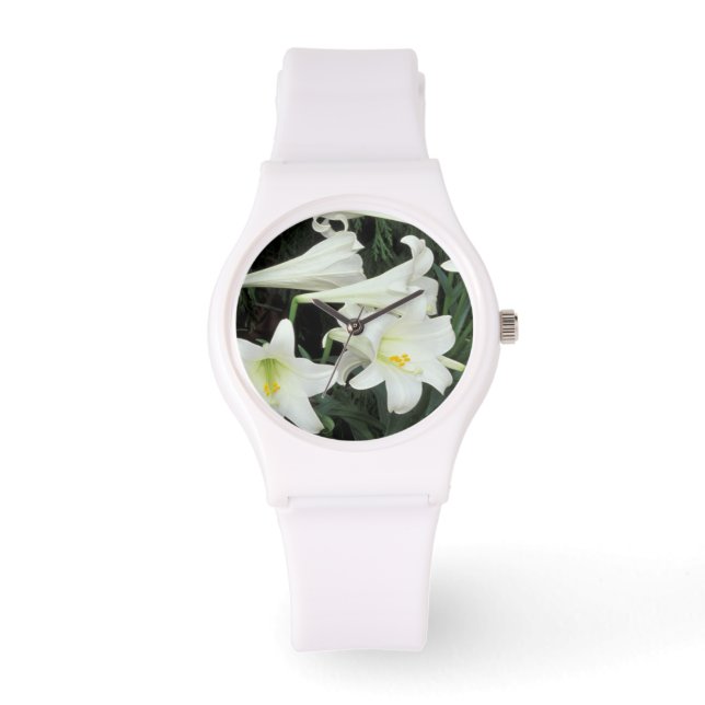 Montre Lys de Pâques (Lilium regale) (Recto)
