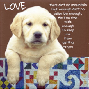 MONTRE "MA MERVEILLE"