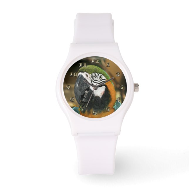 Montre Macao bleu et jaune d'Amazonie (Recto)