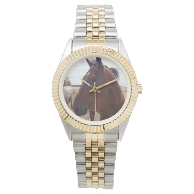 Montre Magie Brown du cheval, (devant)
