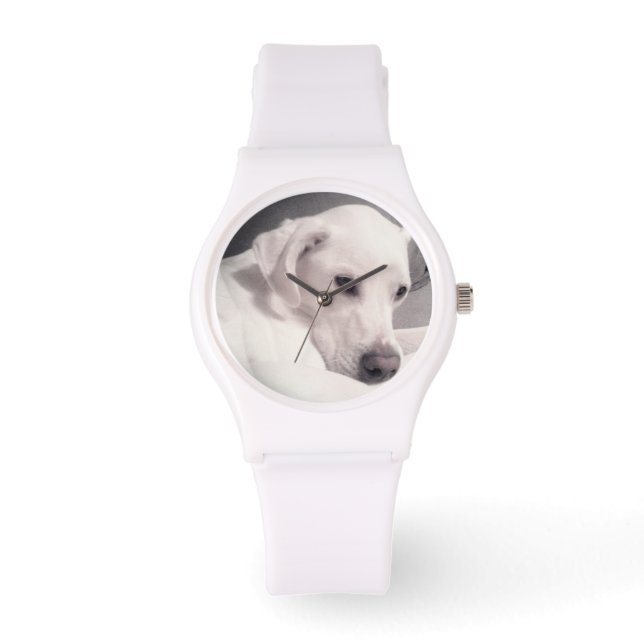 Montre Magnifique Regal White Labrador Mix Dog Watch (Recto)