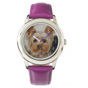 Montre Magnifique Yorkshire Terrier