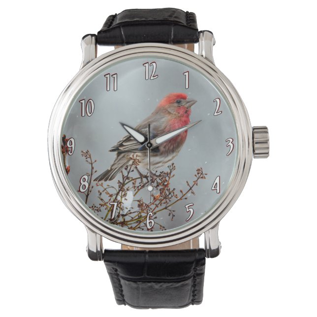 Montre Maison Finch en Neige - Photo originale (devant)