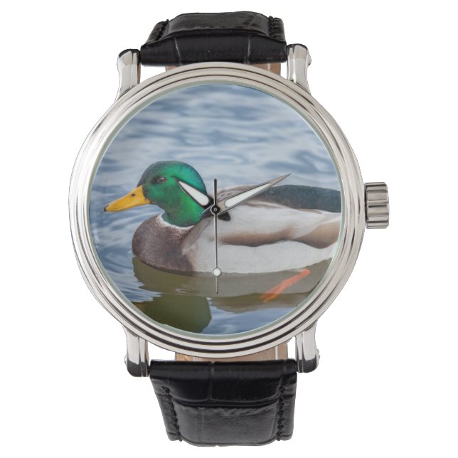 Montre Mallard Duck (devant)
